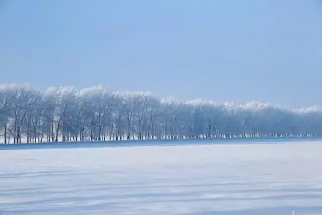 落雪的日子，总有诗韵相陪