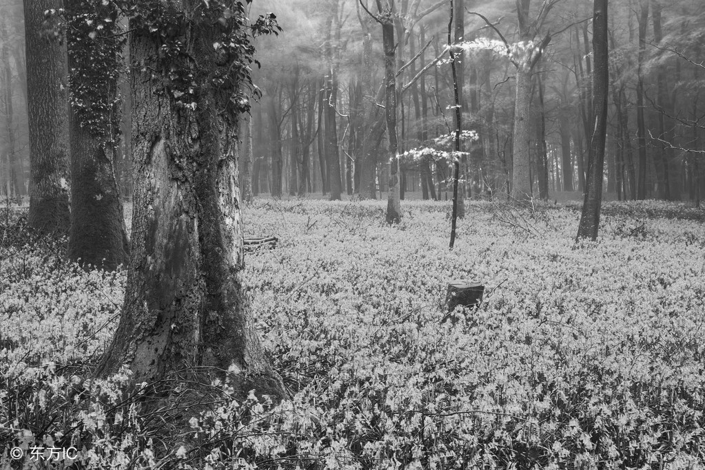 高中必背古诗文64篇 高考必背篇目大纲