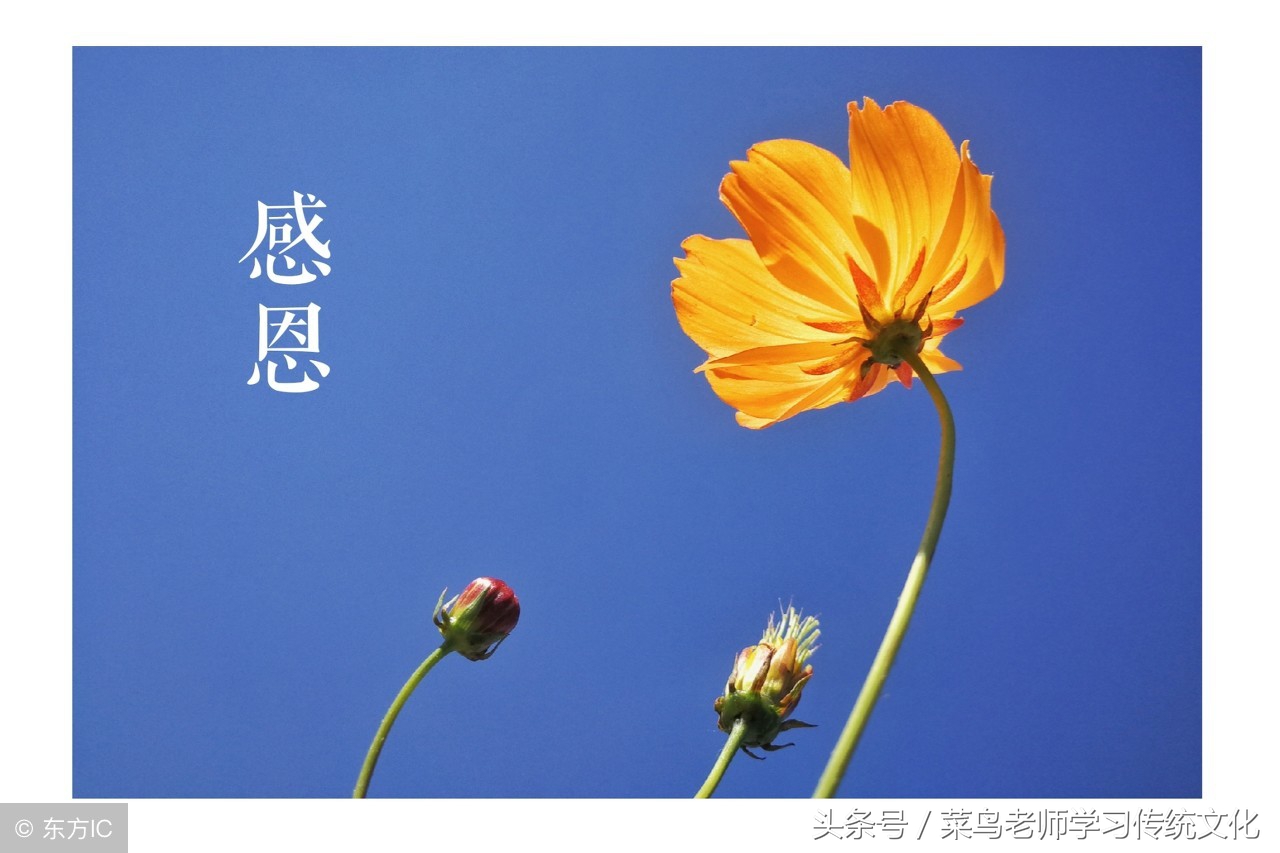 福之将至，观其善而必先知之矣；祸之将至，观其不善而必先知之矣