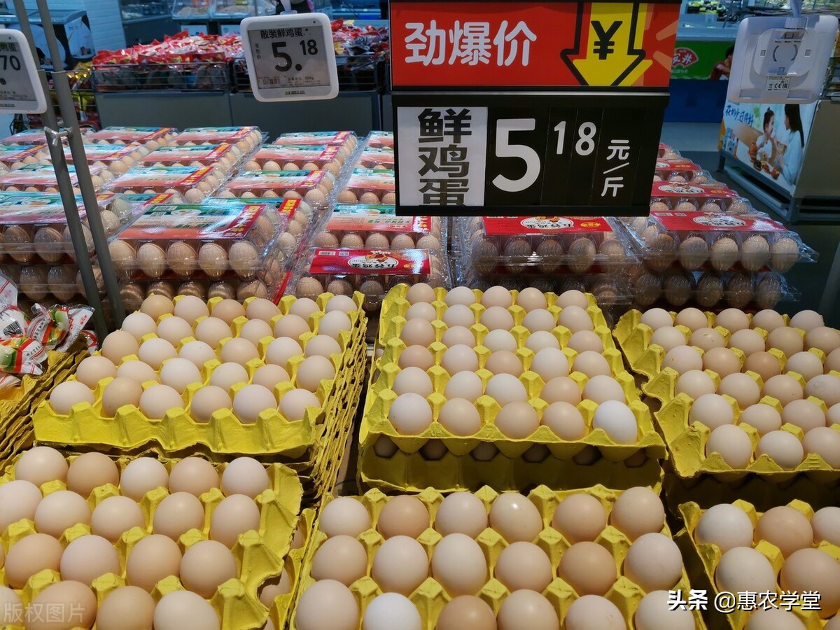 鸡蛋现在多少钱一斤（一斤鸡蛋多少钱）