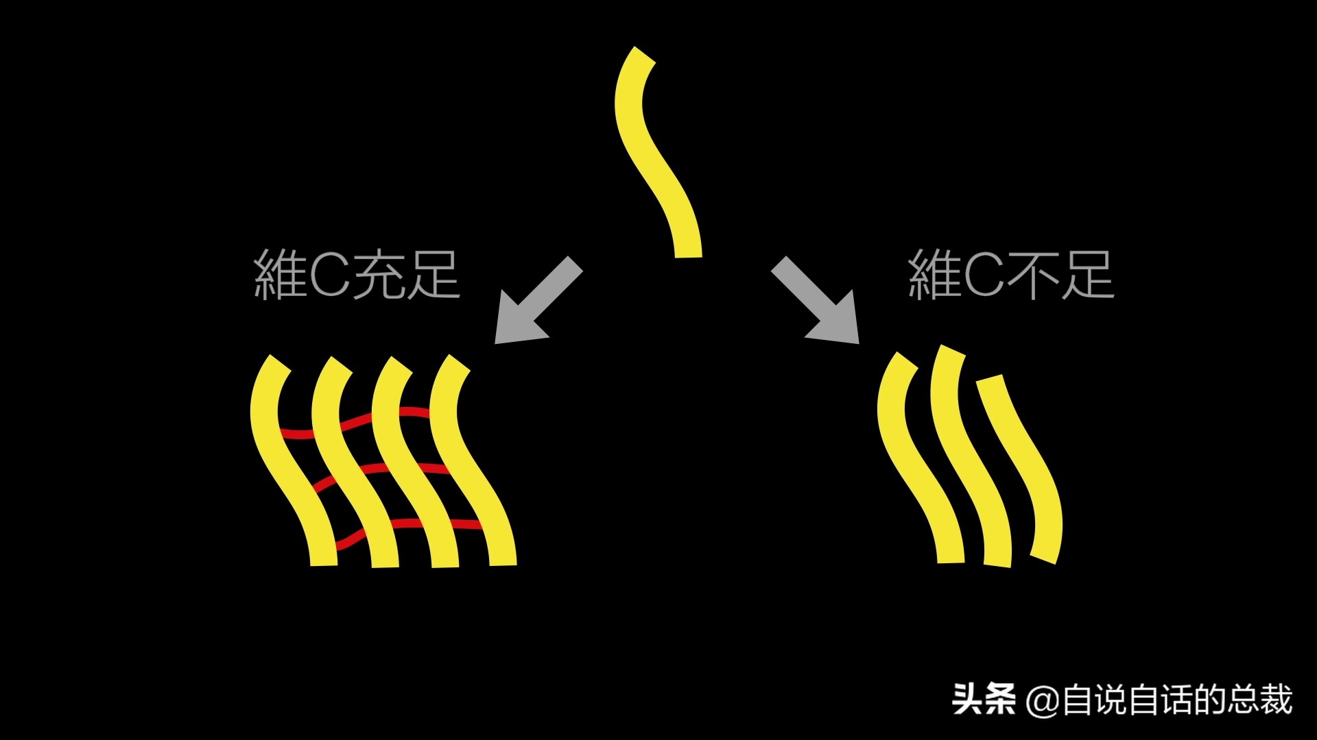 全世界的柠檬都读Lemon？这背后有一个刻在8号染色体上的上古故事