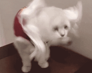 升学宴，到底有多“尴尬”？考生：简直就是“社死”现场