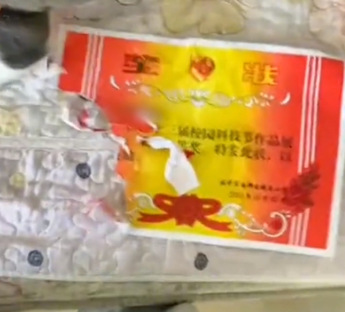 陝西一女孩獎狀剛拿回家就被哈士奇撕碎，媽媽：二哈越打越興奮