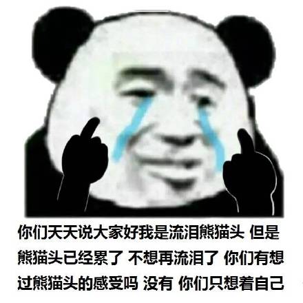 大家好，我是流泪熊猫头