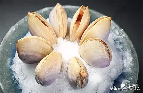市场常见的102种海鲜，肉质鲜美，营养丰富，你们吃过几种？