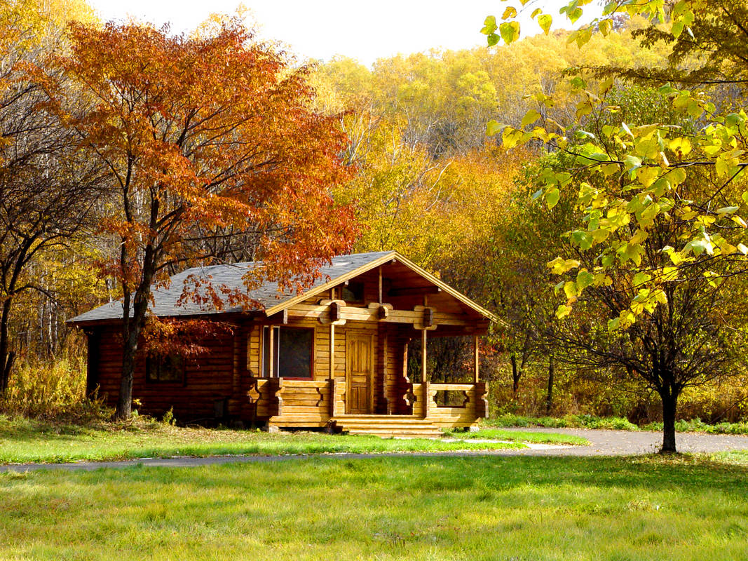 艺术生志愿填报：东北林业大学园林学院概况及20年专业录取分数