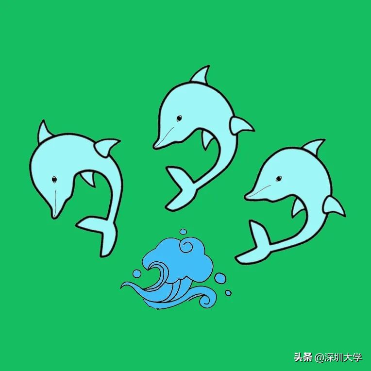 重磅！深圳大学附属教育集团外国语中学来啦