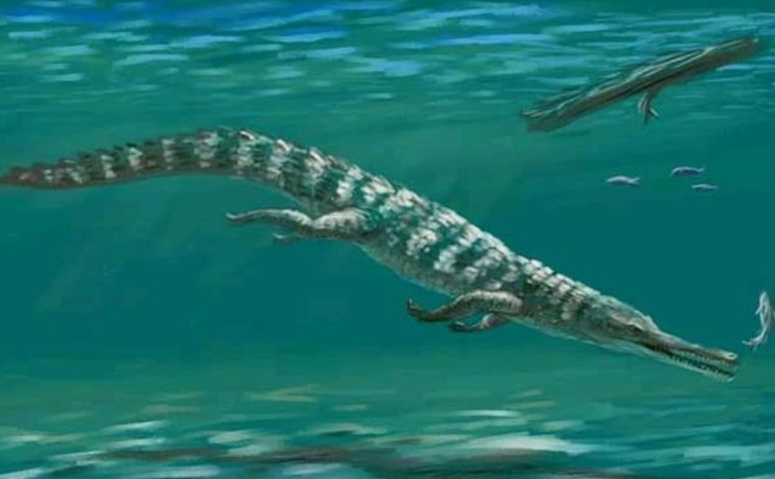 鳄鱼之哀歌：一部2亿年的悲惨奋斗史，海陆双线进军，却惨败而归