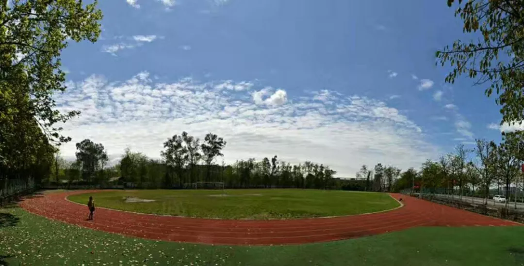 诞生于千年绸都，还是省级示范高校，这所大学占地1400余亩