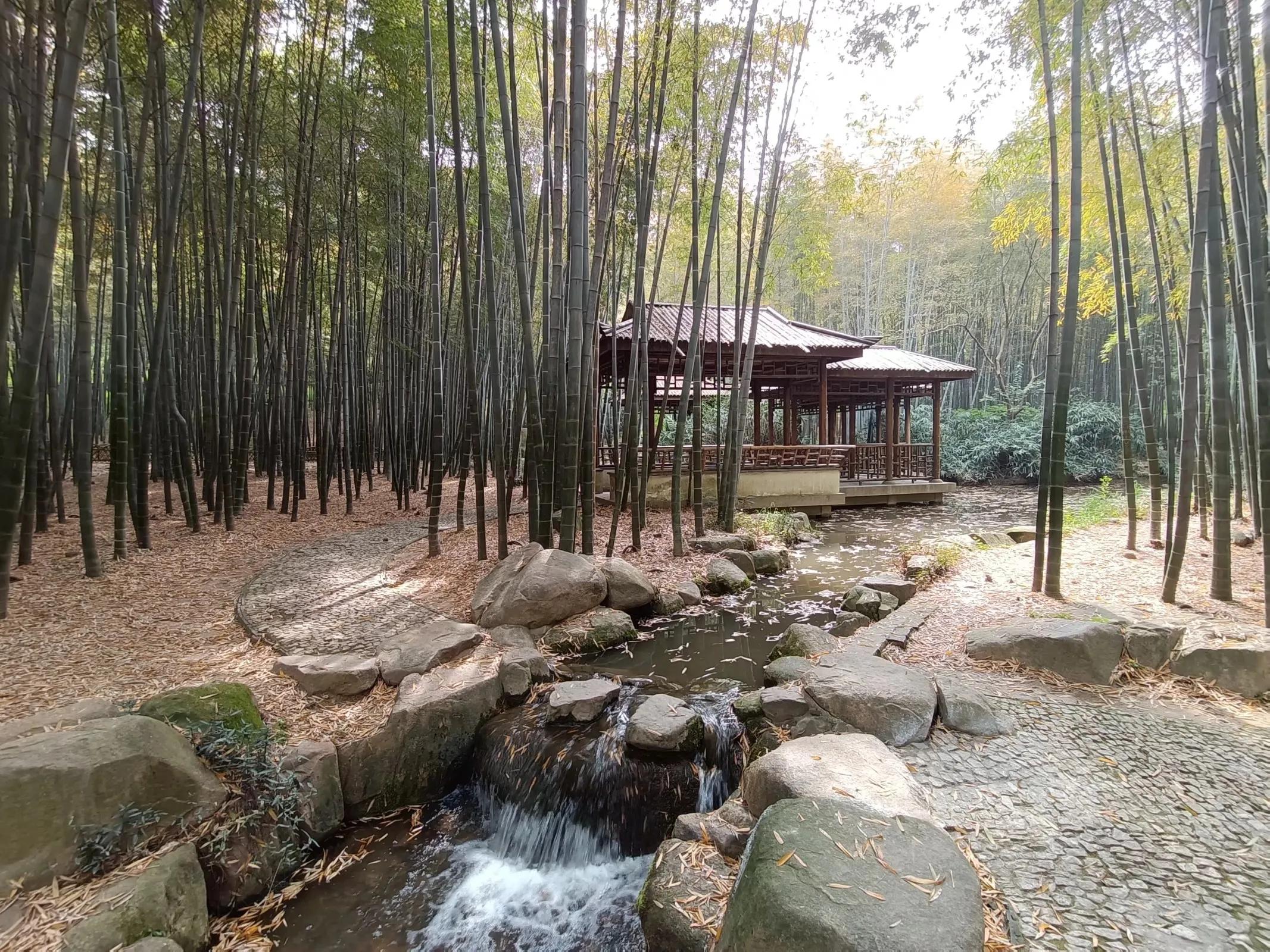 苏州的山之虎丘山