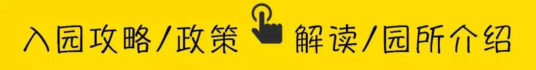 深圳国际学校学费（2019最新）