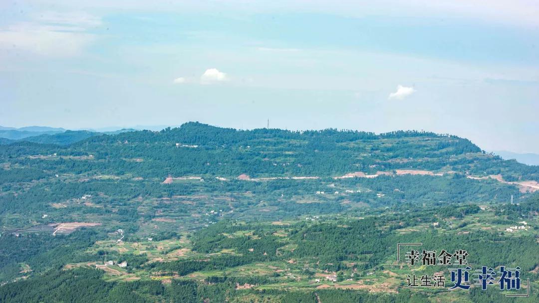 成都1.5h刹拢幽静山野，赏梨花、油菜花、桃花…不收门票