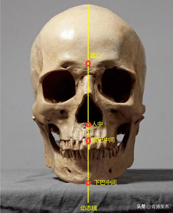 画人像大杀招，想学画画的你不容错过