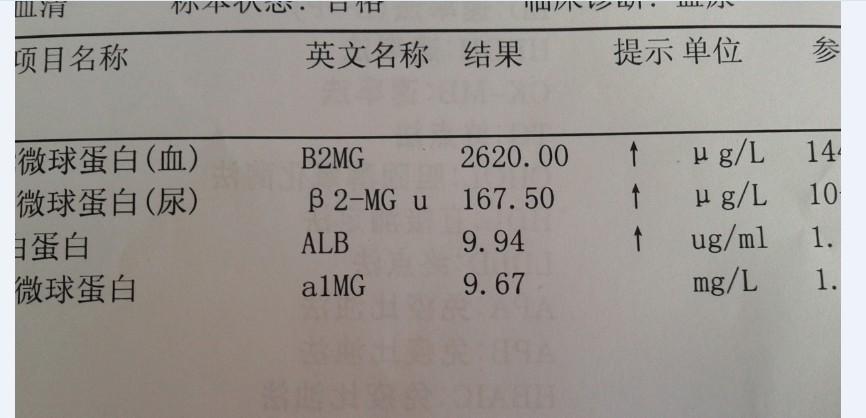 血常規單核細胞高是怎麼回事(血常規的報告怎麼看) - seo葵花寶典