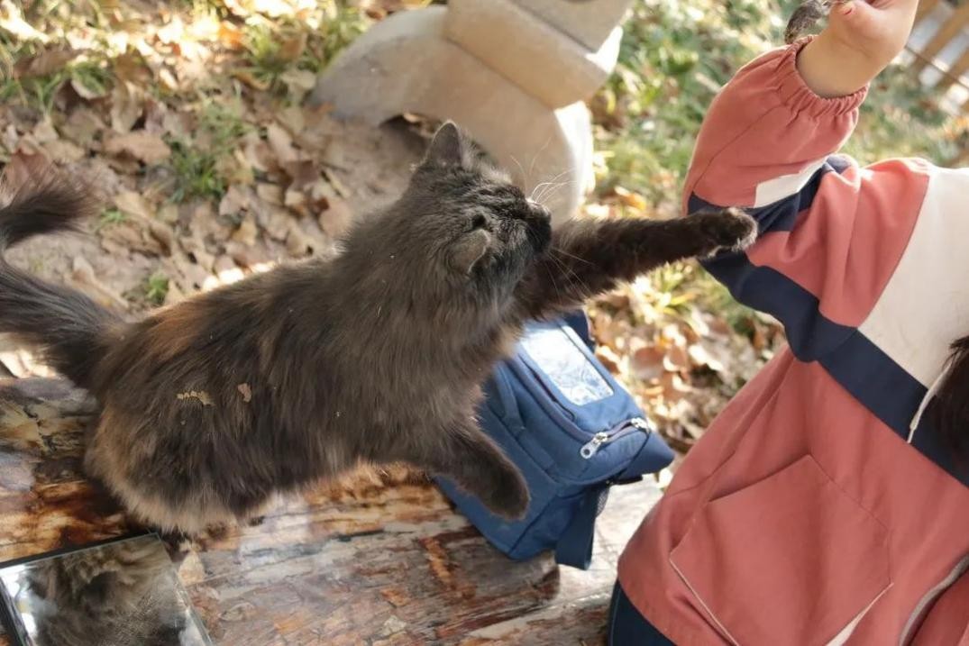 神仙颜值！北京语言大学“最美校花”高清大图来袭，总有一款你喜欢！