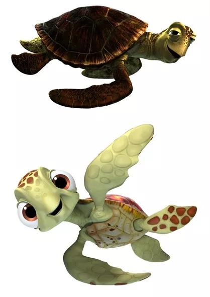 《海底总动员》海洋生物大起底