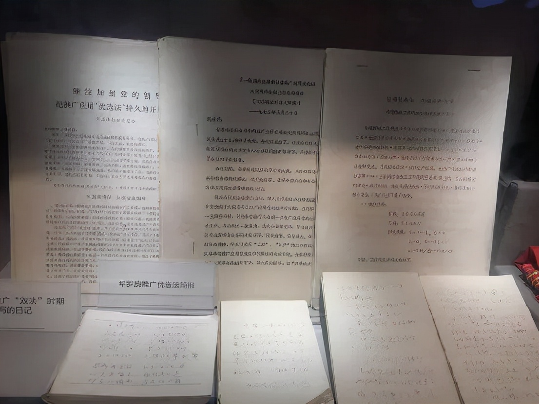 华罗庚：杂货铺出来的数学家，毛主席夸他人们尊敬他，为什么？