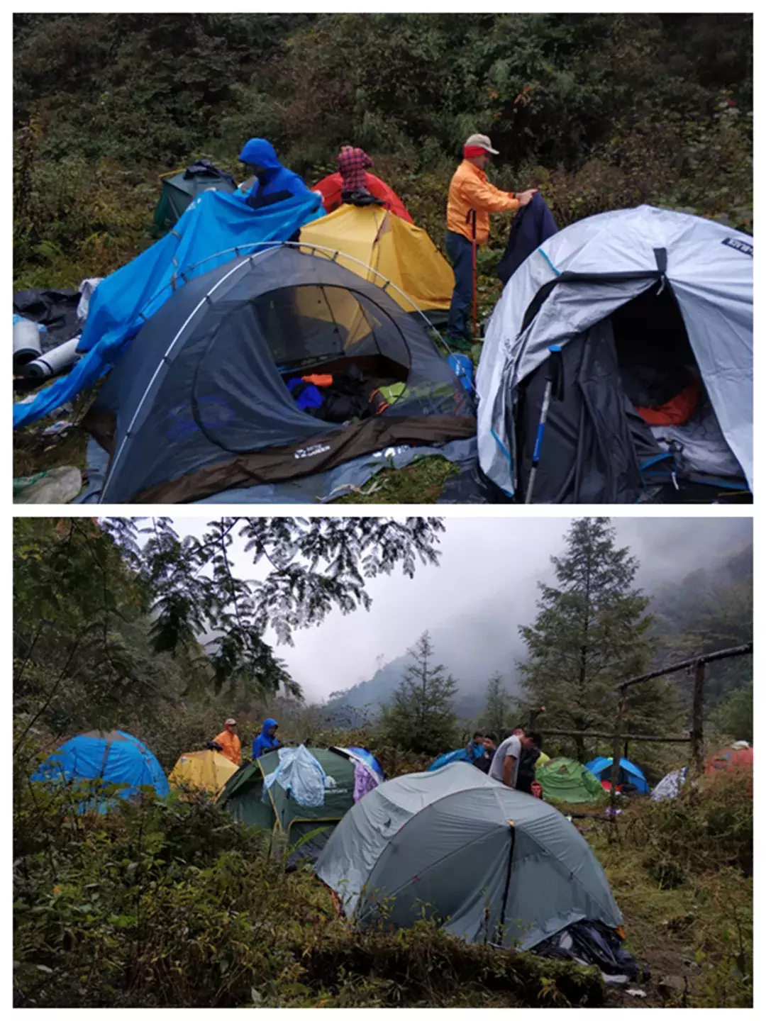 牛津国际公学---一所纯英式教育寄宿制国际学校