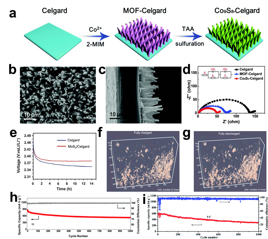 张亮教授&孙学良院士｜具有催化效应的功能性隔膜研究进展