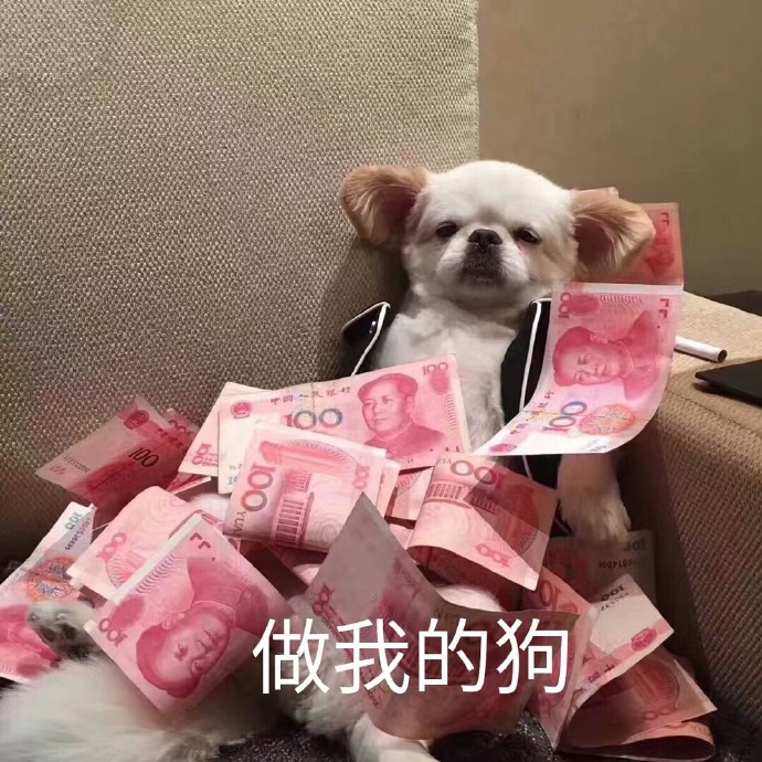 表情包：做我的狗