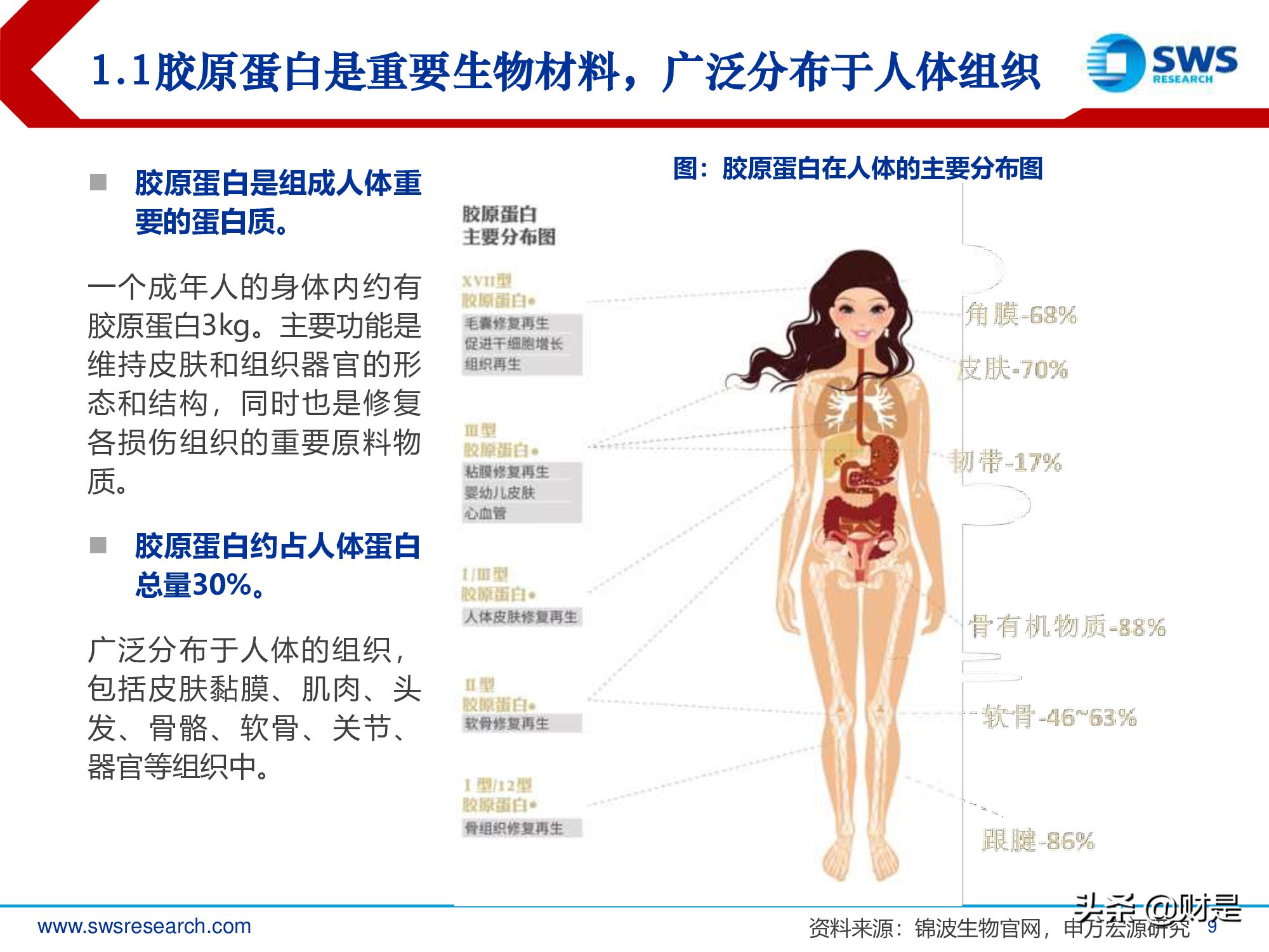 胶原蛋白行业深度研究报告：生物医药材料下一个风口
