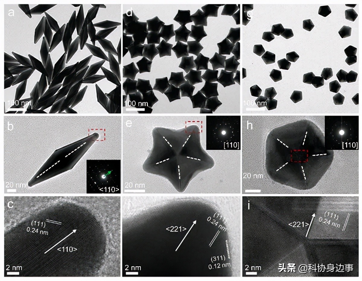 今日科技话题：恐龙软骨细胞、长寿命超导量子比特芯片、星际最大类肽键分子、五重孪晶金纳米晶