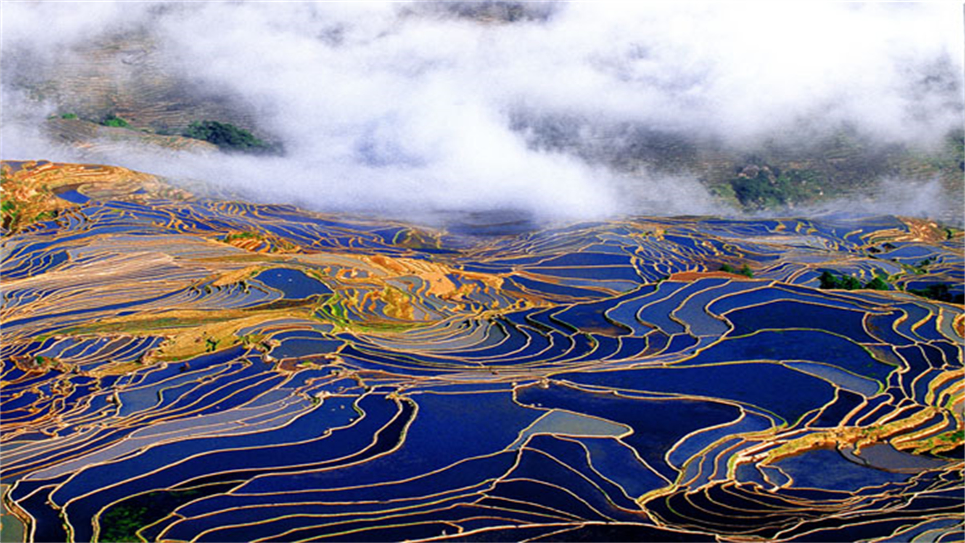 清华优质生源地名单公布!云南这所中学表现突出,另2所