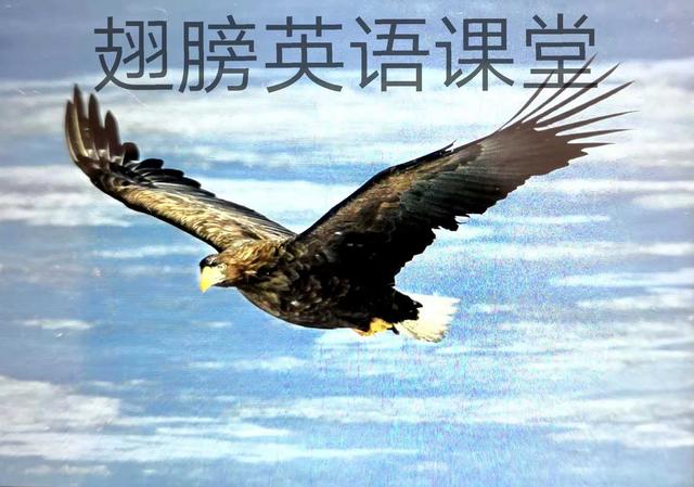 动名词作定语的用法解析