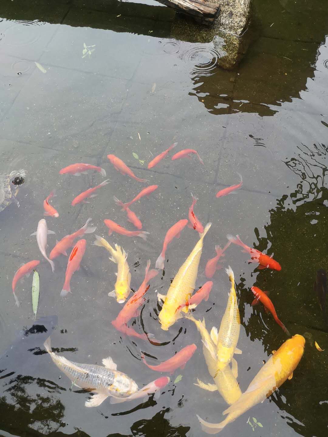 来一趟说走就走的旅行：住民宿，游小泰山，吃吃喝喝，玩玩闹闹