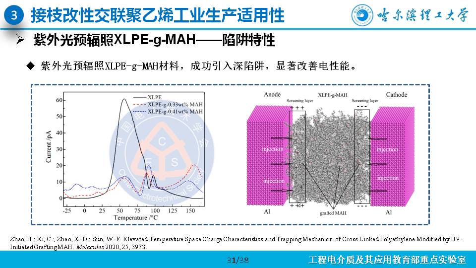 哈尔滨理工大学杨佳明副教授：深陷阱改善交联聚乙烯电性能的研究