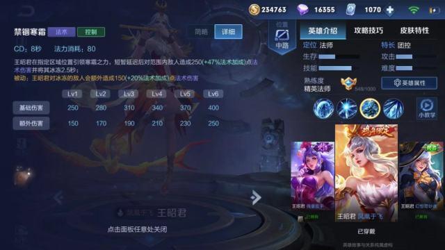 王者荣耀国服榜一王昭君深度教学：冻人技巧与四道冰法