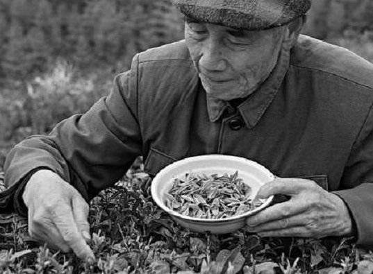 1951年一农民到乡公所讨水，看着毛主席像激动的说：他曾是我的兵