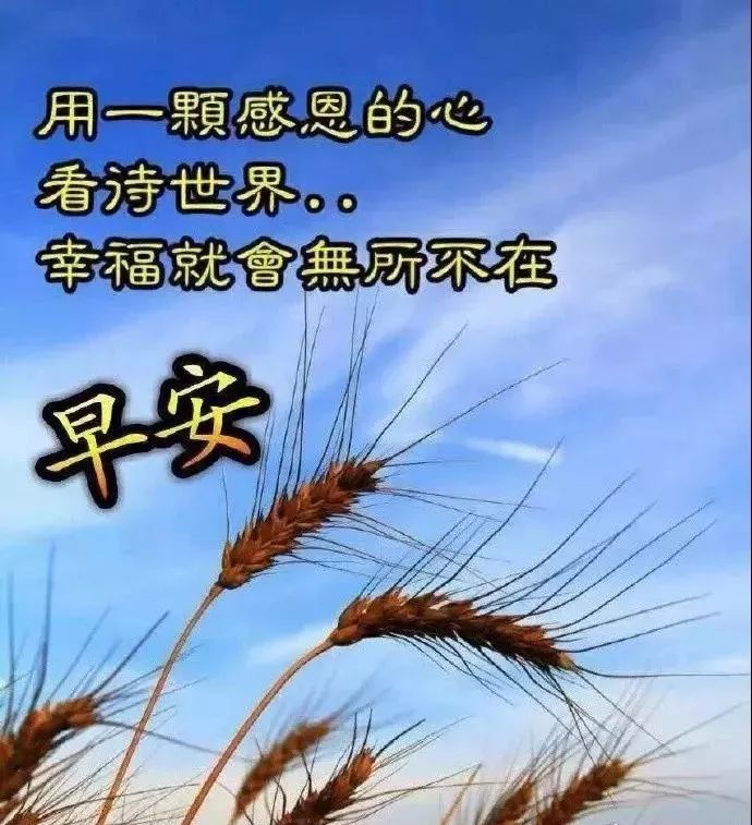 早報喜晚報財,早晨喜鵲進院來,早安,願你緊握我的祝福