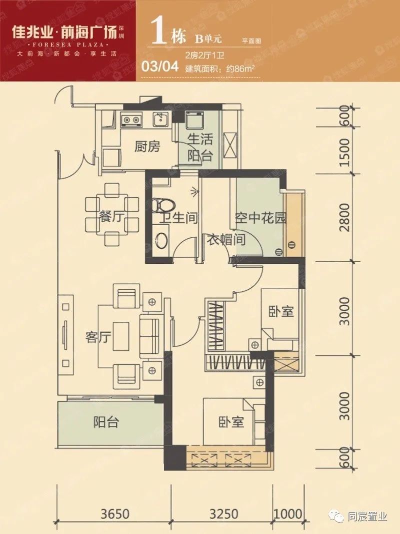 深圳大学优秀生源基地，深大附属教育集团(下)