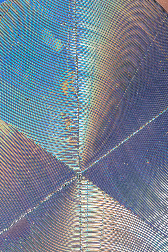 用幻彩做设计，是怎样一种惊艳？