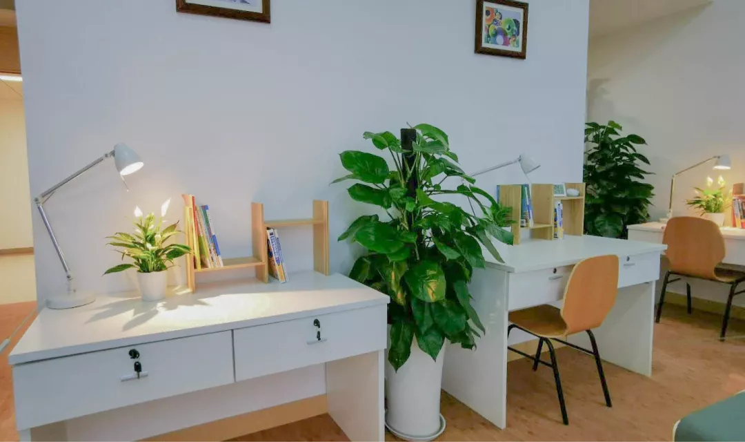 均价一年30万以上，国际学校的学费真的值吗？花在哪了？