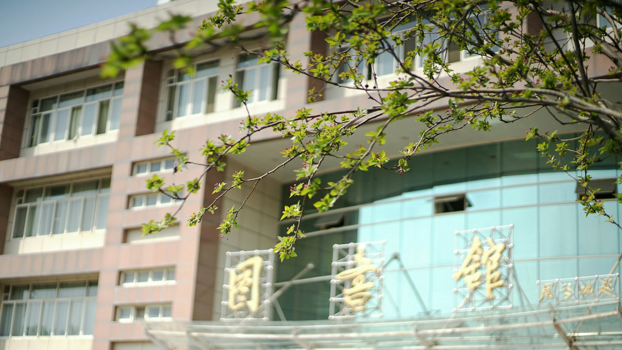 法硕考研择校解析之西北政法大学（超全）