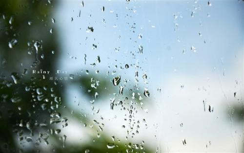 静心听雨的经典句子(一个人听雨的有意境的短句子)