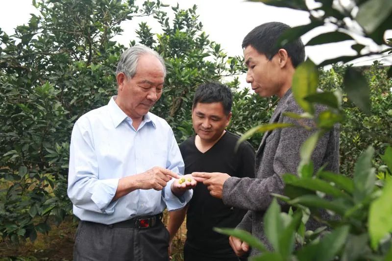 赣州荣耀！刚刚，他们在人民大会堂接受表彰！