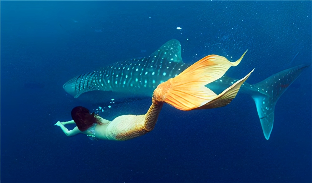 儒艮为什么叫美人鱼(古籍中记载的"美人鱼"是什么?