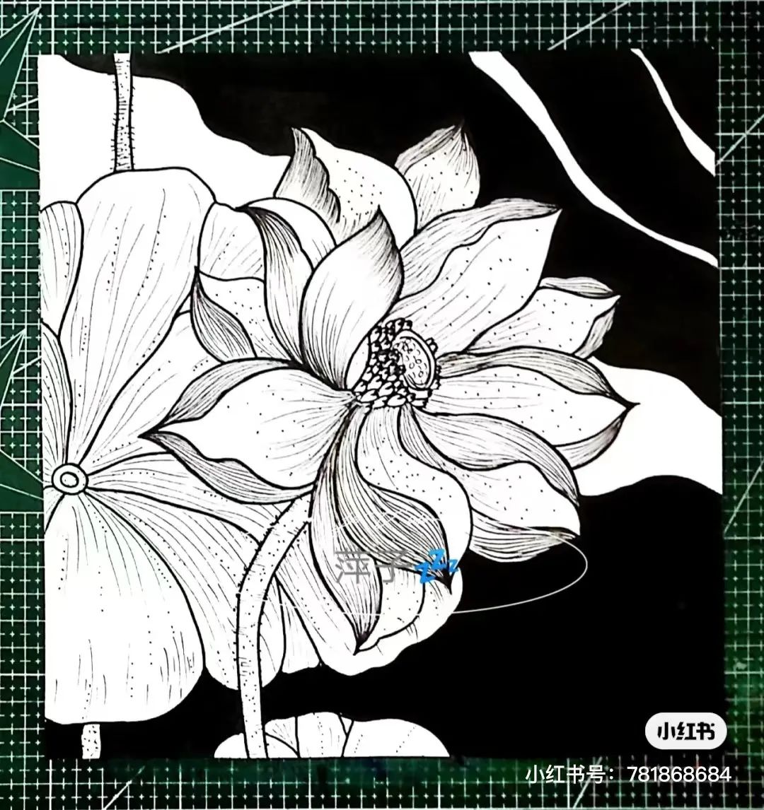 花草创意线描装饰写生范本,画完它们你的手从此再也不是爪子