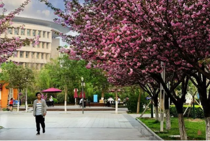 陕西科技大学，一所用“轻功”腾飞的好大学