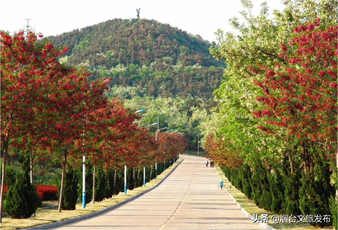 十一假期玩转长岛(国庆长岛的旅游攻略)(图10) 十一假期玩转长岛,请收下这份旅游攻略!