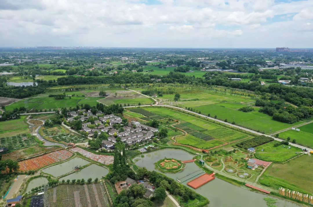 2021全国百强区放榜郫都区榜上有名