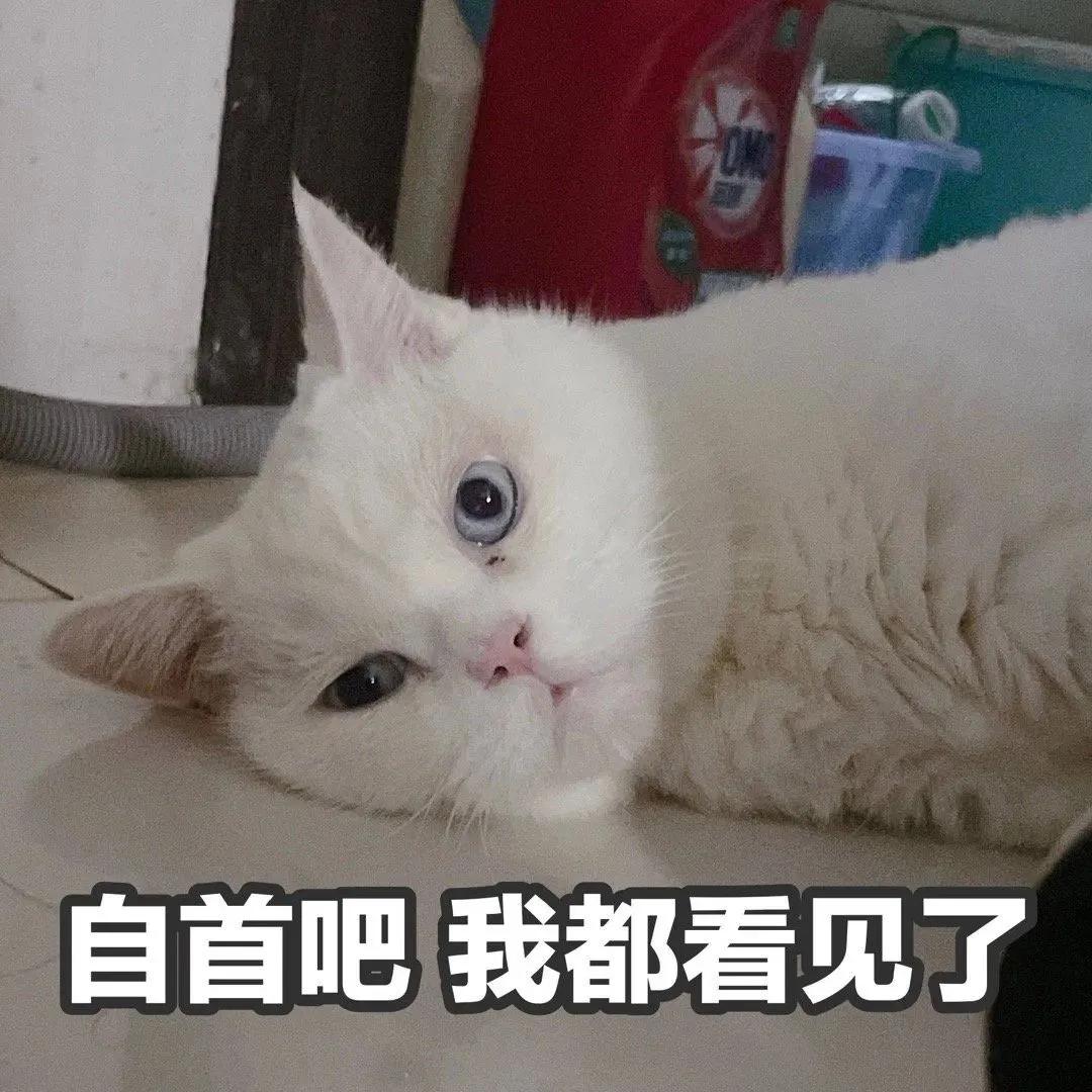 可爱表情包  我乏了，家人们