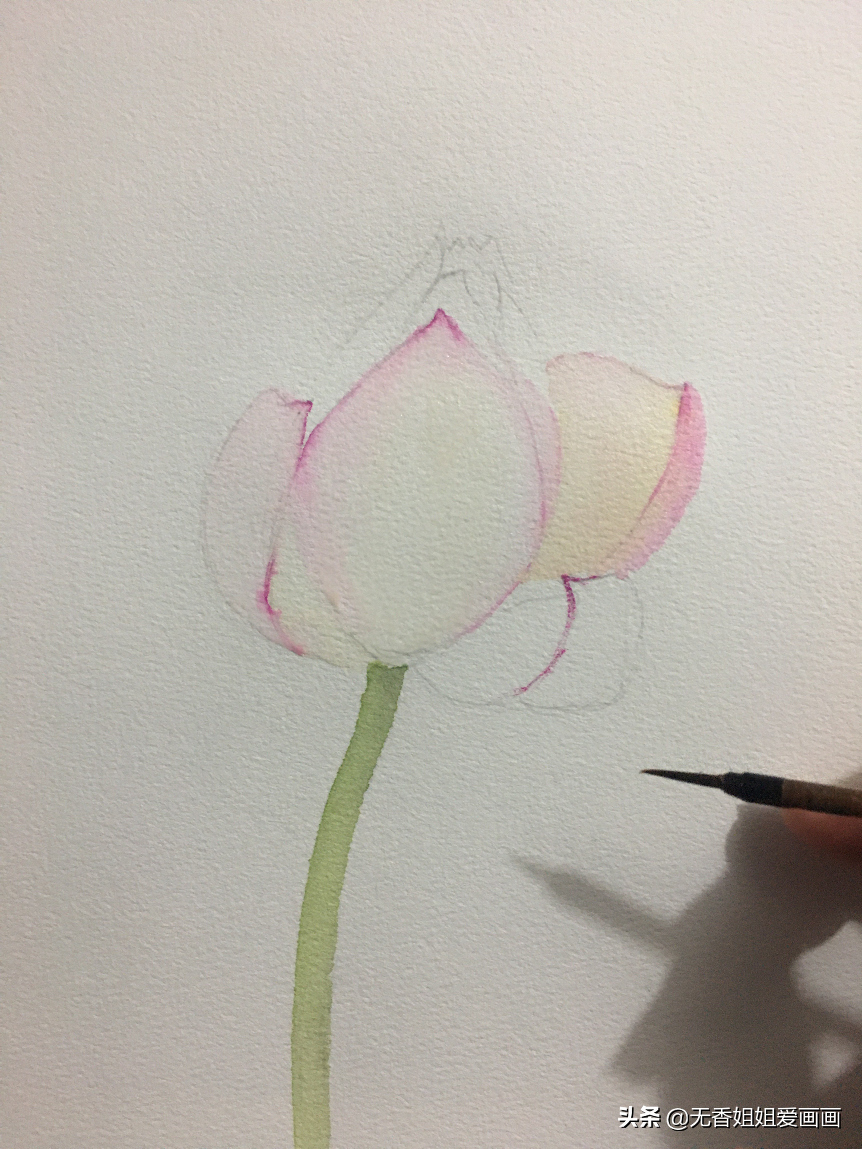 如何简笔画一朵美丽的荷花