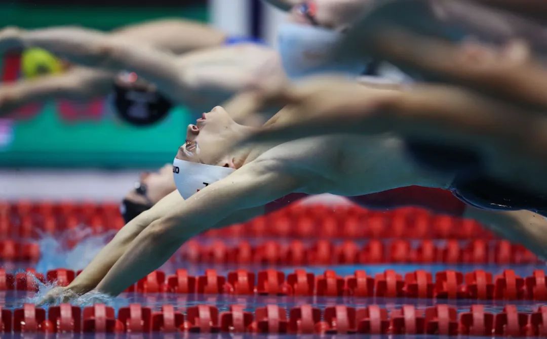 2021年度FINA游泳世界杯赛程出炉