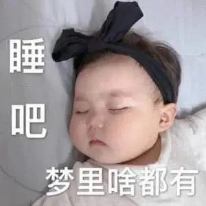 表情包：睡吧，梦里啥都有