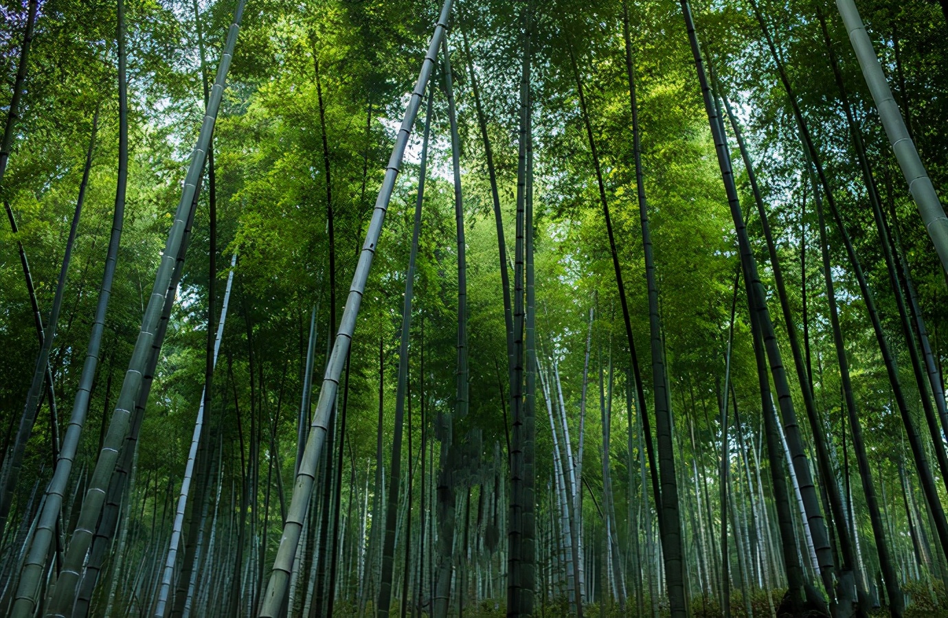 夏天去哪里玩最好（夏季旅游去哪里好）