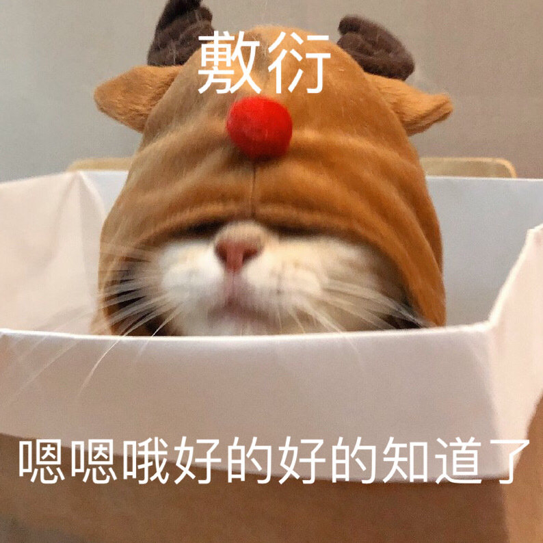 猫咪表情包​  生气专用表情包